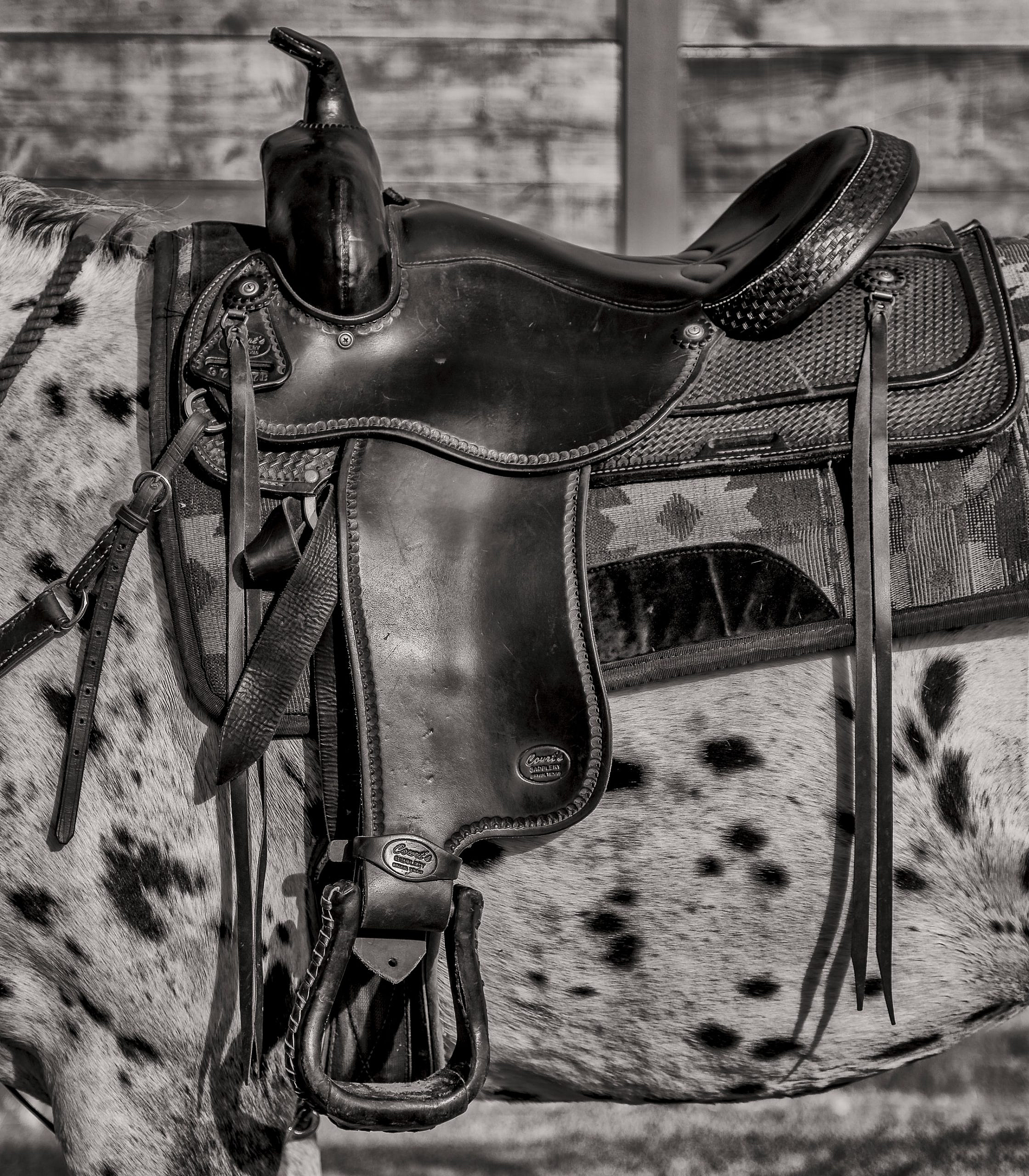 Saddle up! A look at the history and craftmanship of saddlery